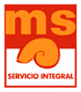 MS Servicio Integral